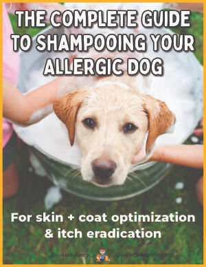 Bonus #1 — Guide to Shampooing the Allergic Dog ($27 value)Learn exactly which shampoos to use, when to use them, and how to bathe your dog for maximum benefit. This is one of the most overlooked allergy treatment strategies!Includes a complete 3-week trea